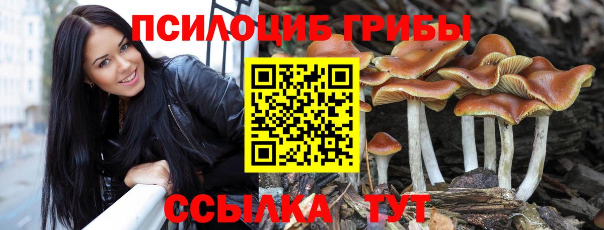 Псилоцибиновые грибы ЛСД  Псилоцибиновые грибы Magic Shrooms  Вход с VPN  Губкин 